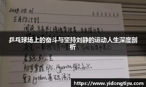 乒乓球场上的奋斗与坚持刘静的运动人生深度剖析